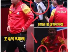 乐鱼app-德国乒乓球队爆冷日本乒乓球队，王皓送出助攻的简单介绍