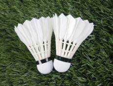 乐鱼体育-丹麦羽毛球队轻取中国羽毛球队，林丹统治全场