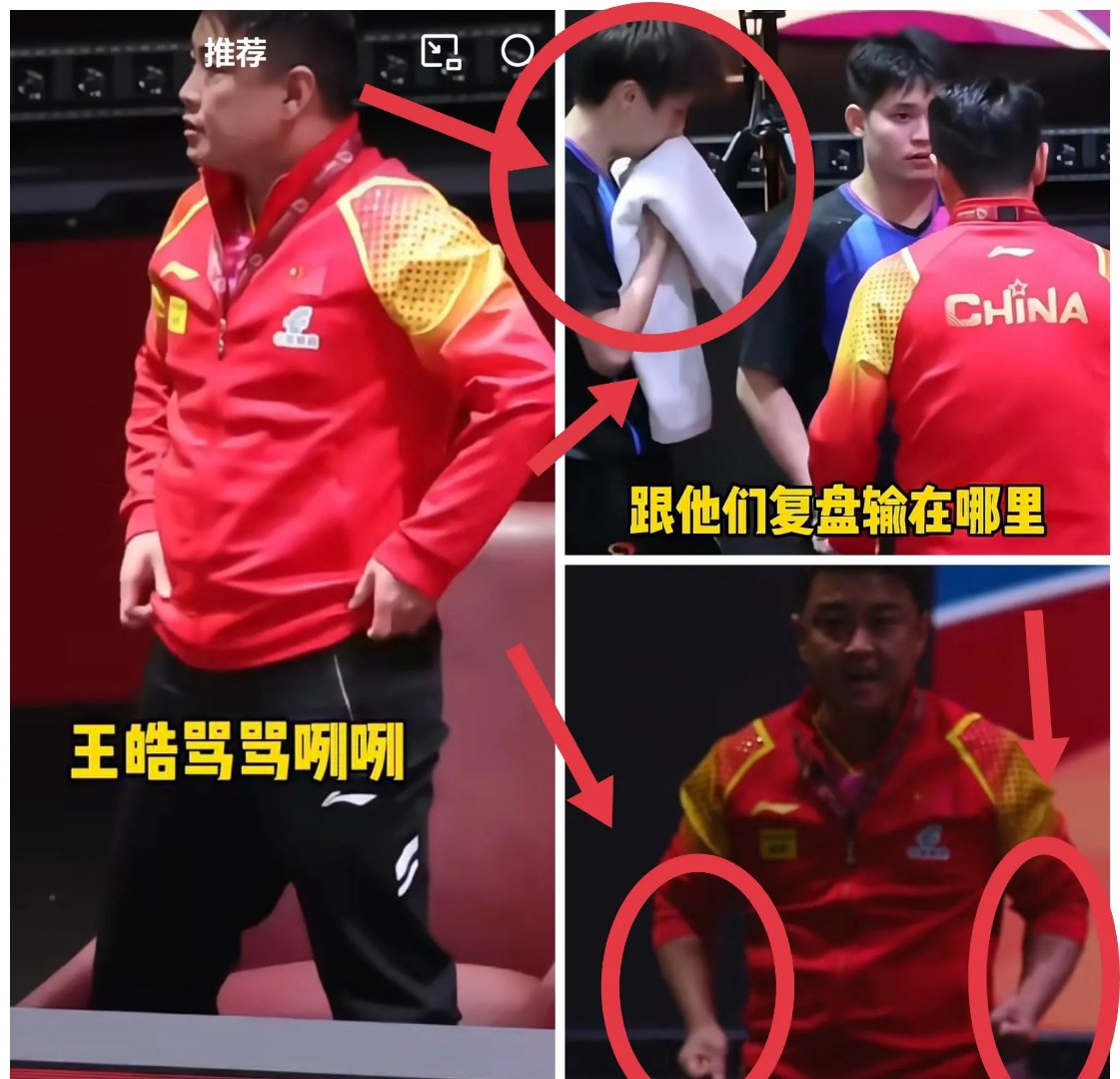 乐鱼app-德国乒乓球队爆冷日本乒乓球队，王皓送出助攻的简单介绍